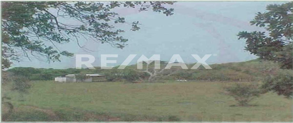 Foto de terreno habitacional en venta en lote 45 , cabo rojo (novillos) [ganadera], tampico alto, veracruz de ignacio de la llave, 0 No. 05